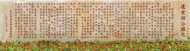 廣場(chǎng)舞菊花臺(tái)背面演示慢動(dòng)作_菊蓉廣場(chǎng)舞_菊花香廣場(chǎng)舞視頻