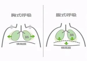 腹式呼吸可以干嘛_哪些人不能做腹式呼吸_腹式呼吸可以坐著做嗎