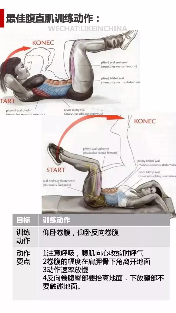 冠狀面有哪些健身動作_冠狀面有哪些健身動作_冠狀面有哪些健身動作