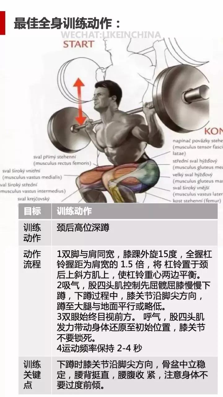 冠狀面有哪些健身動作_冠狀面有哪些健身動作_冠狀面有哪些健身動作