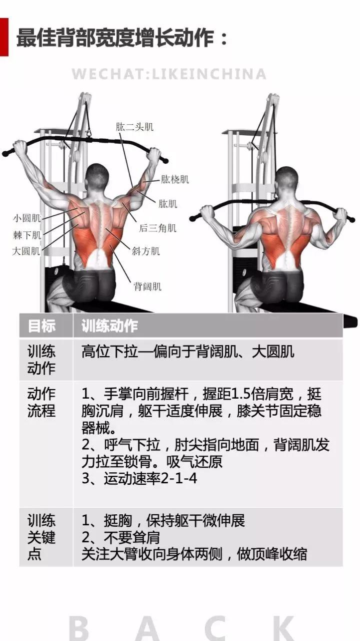 冠狀面有哪些健身動作_冠狀面有哪些健身動作_冠狀面有哪些健身動作