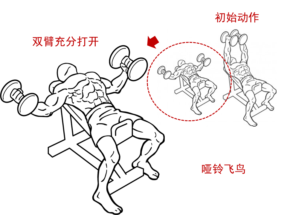 女性能不能練下胸_女性能練下胸嗎_如果練下胸