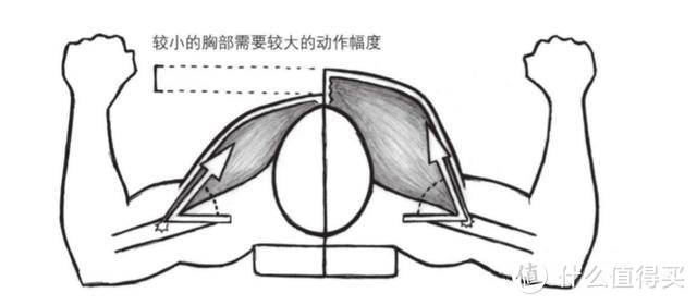 胸部位置相對于手臂位置更高，發(fā)力方向就會越接近于垂直