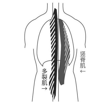 疼練腿深蹲繼續(xù)應(yīng)該天天練嗎_練深蹲腿疼怎么辦_深蹲第二天腿疼應(yīng)該繼續(xù)練嗎