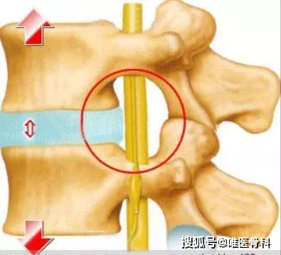 國(guó)內(nèi)反重力跑步機(jī)_alterg反重力跑步機(jī)官網(wǎng)_0重力跑步機(jī)