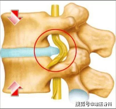 0重力跑步機(jī)_alterg反重力跑步機(jī)官網(wǎng)_國(guó)內(nèi)反重力跑步機(jī)