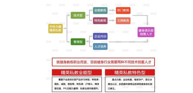 小燕飛標準動作每天做幾個好_燕飛動作一天做多少_做燕飛動作起什么作用