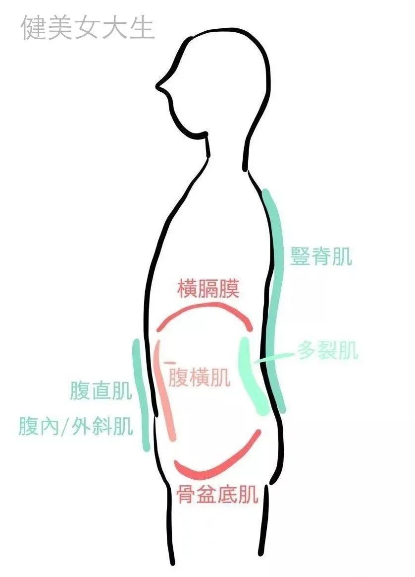 pg娛樂電子游戲 不同的呼吸方式，對(duì)姿勢(shì)與力量訓(xùn)練的影響……