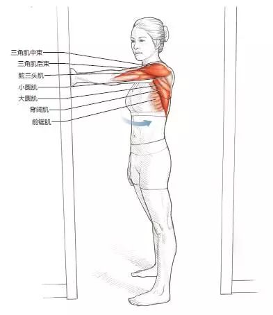 健身后拉伸的重要性_健身拉伸有用嗎_拉伸對于健身的重要性