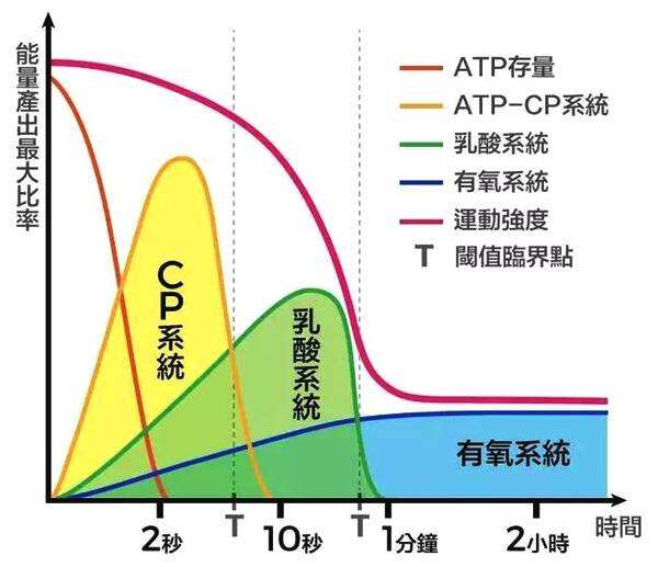 運動后過量氧耗_有氧運動不要超過_運動氧超過要有什么反應(yīng)