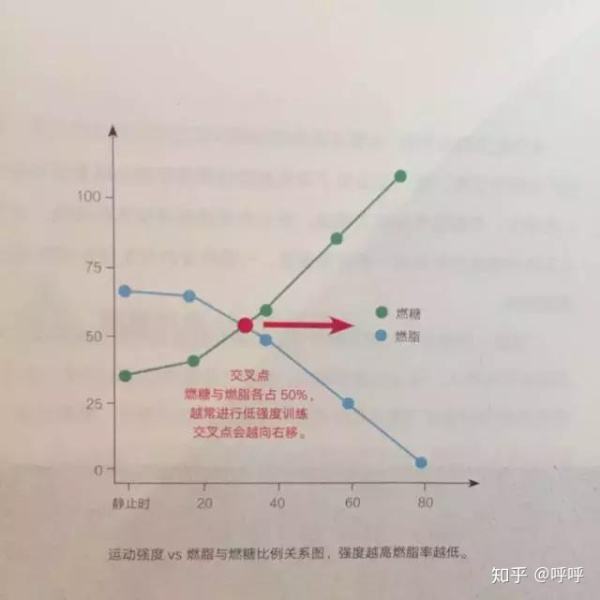 運動氧超過要有什么反應(yīng)_運動后過量氧耗_有氧運動不要超過