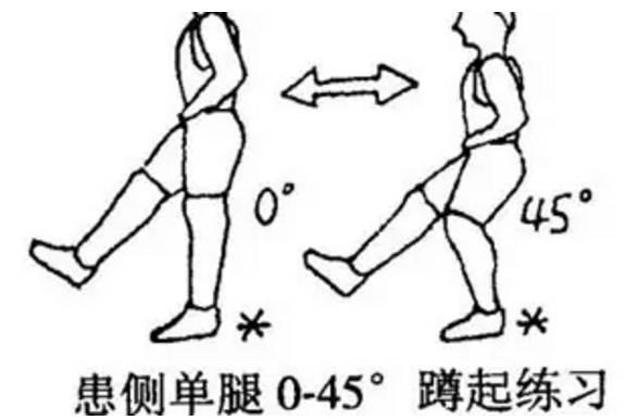 股后肌群訓(xùn)練6種方法_股后群肌包括_肌群訓(xùn)練方法的設(shè)計(jì)