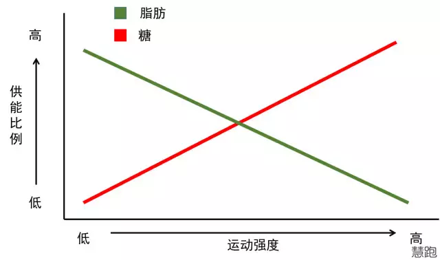 kaiyun官方網(wǎng)app下載app 跑步減肥：一次究竟需要跑多久？