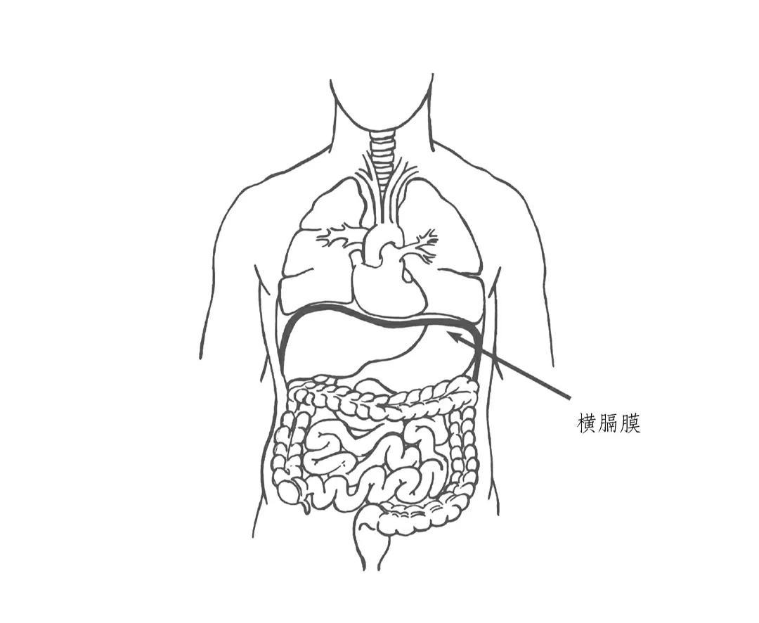 冥想鼻梁發(fā)脹_鼻子冥想變高讓鼻子通氣_怎樣冥想讓鼻子變高