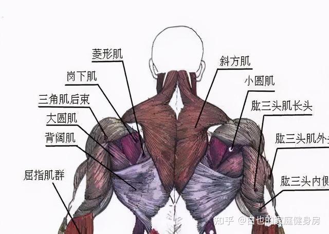 手套材質(zhì)健身好不好_健身手套什么材質(zhì)好_健身手套選擇