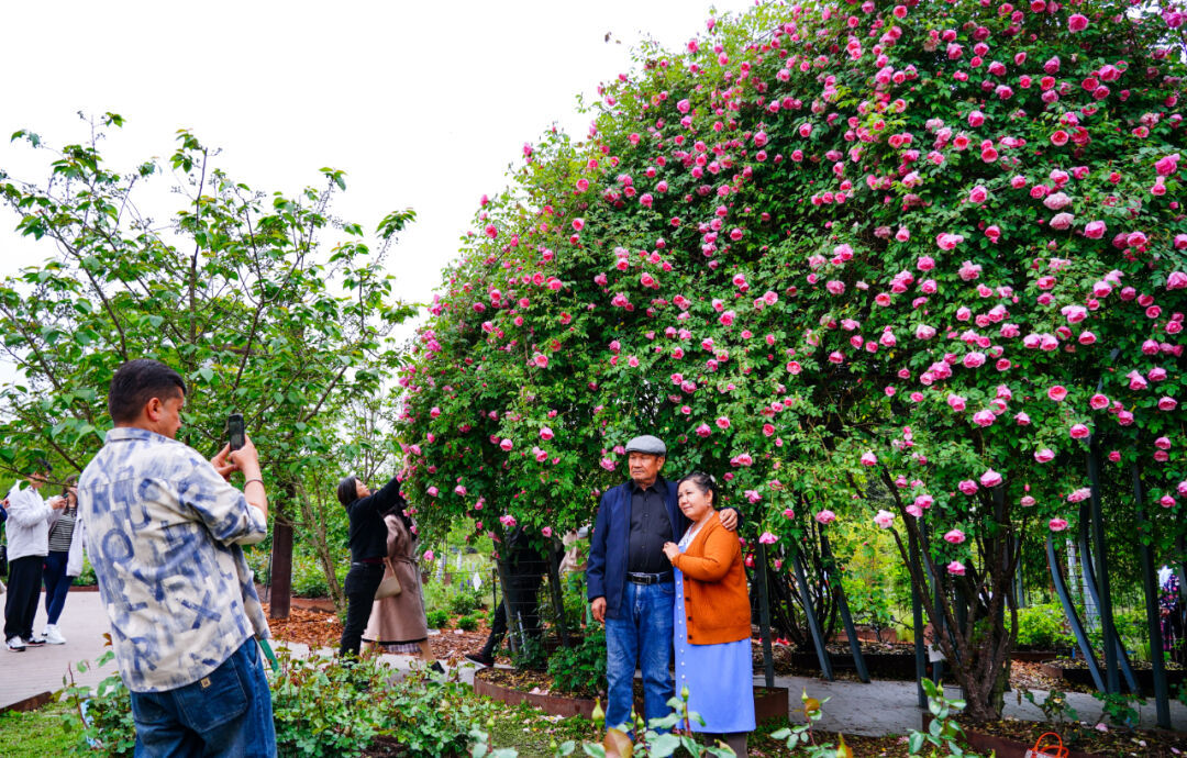 上海園博會(huì)2010_上海園博會(huì)_上海園博會(huì)在哪兒