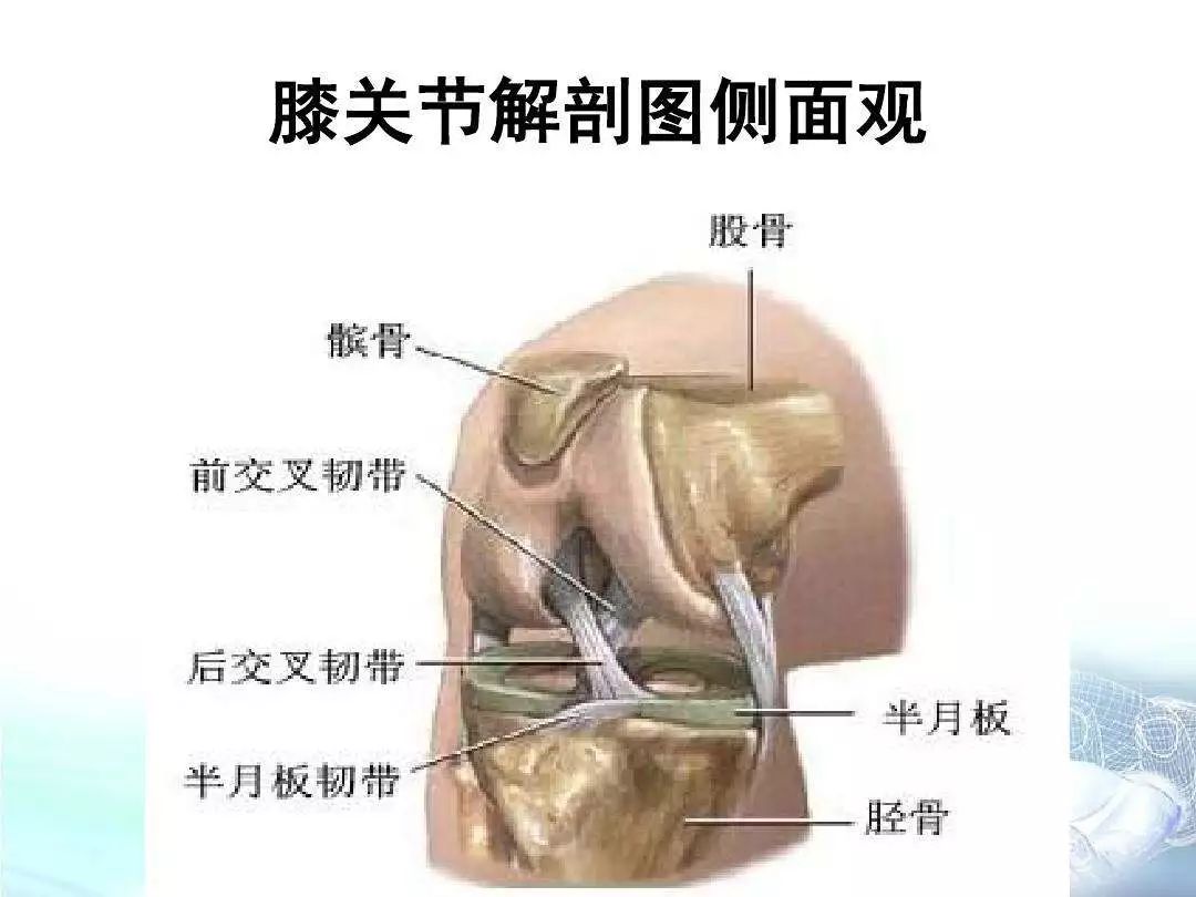 微信計(jì)步器什么原理_微信有走路計(jì)步器在哪_微信計(jì)步器準(zhǔn)確嗎