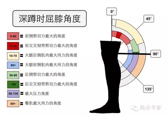 靠墻靜蹲可以練大腿肌肉嗎_靠墻靜蹲能練出肌肉嗎_練靠墻靜蹲可以瘦腿嗎