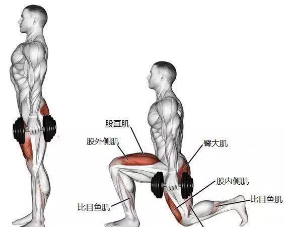 靠墻靜蹲可以練大腿肌肉嗎_靠墻靜蹲能練出肌肉嗎_靠墻靜蹲能練腹肌嗎