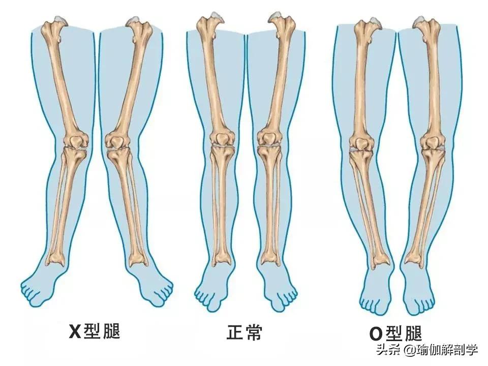 瑜伽能改善腿形嗎_瑜伽腿型矯正_改善x型腿的瑜伽