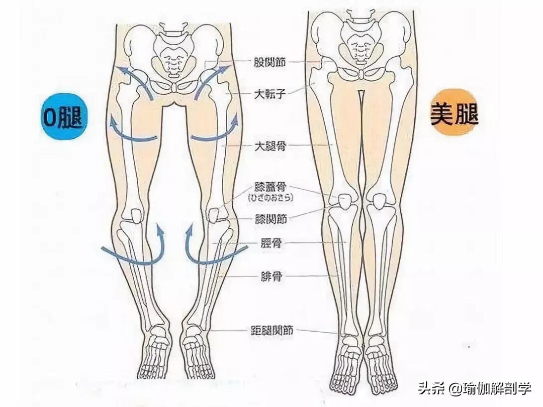 改善x型腿的瑜伽_瑜伽腿型矯正_瑜伽能改善腿形嗎