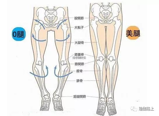 瑜伽腿型矯正_瑜伽改善腿型動(dòng)作_改善x型腿的瑜伽