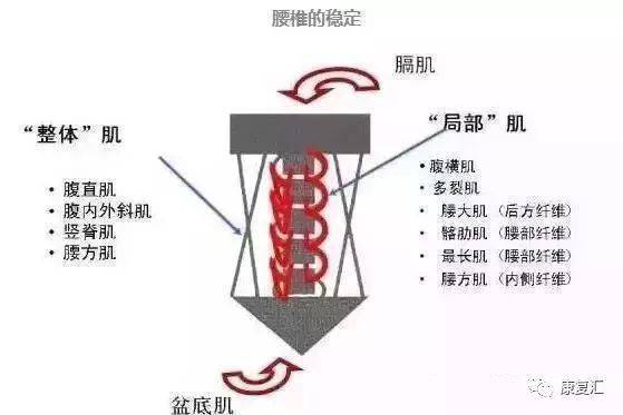 pg麻將胡了試玩平臺 懸吊訓(xùn)練（SET）康復(fù)原理及臨床應(yīng)用